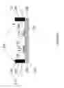 Fig. 09 - Rivetless lead fastening for a semiconductor package