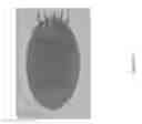 Fig. 03 - Semiconductor die attach system and method