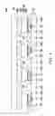 Fig. 05 - Light emitting device and method of forming the same