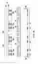 Fig. 06 - Manufacturing method of LED display device