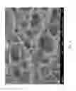 Fig. 03 - Method of promoting electric output of piezoelectric/conductive hybrid polymer