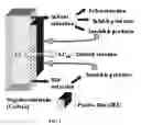 Fig. 02 - METHOD FOR ALKALIATING ELECTRODES