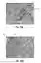 Fig. 83 - FUEL CELL DEVICE AND SYSTEM