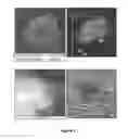 Fig. 03 - TRANSITION METAL CATALYST NANOPARTICLES AND USES THEREOF