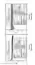 Fig. 13 - TRANSITION METAL CATALYST NANOPARTICLES AND USES THEREOF