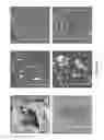 Fig. 17 - TRANSITION METAL CATALYST NANOPARTICLES AND USES THEREOF