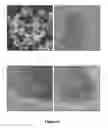 Fig. 22 - TRANSITION METAL CATALYST NANOPARTICLES AND USES THEREOF