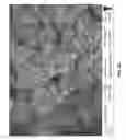 Fig. 37 - Electrolyte additives for electrochemical devices