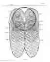 Fig. 07 - Wide angle planar antenna assembly