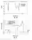 Fig. 09 - Collocated end-fire antenna and low-frequency antenna systems, devices, and methods