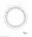 Fig. 03 - Shaft grounding ring and dissipation body for a shaft grounding ring