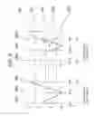 Fig. 07 - Electric signal transmission device