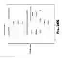 Fig. 115 - Rendezvous optimization in a content delivery framework