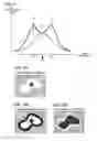 Fig. 09 - Observation device and focus adjustment method