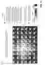 Fig. 12 - System and method for foveated compression of image frames in a system on a chip