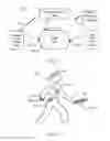 Fig. 02 - Techniques for determining a position fix of an object using one or more mobile devices co-located with the object