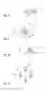 Fig. 04 - Lamp with a yellow and with a white and/or blue light source group