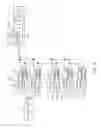 Fig. 03 - Lighting system