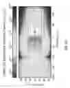 Fig. 09 - FAST BURST AND STEADY-STATE INTENSE NEUTRON SOURCE