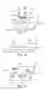 Fig. 05 - Component Carrier Having at Least a Part Formed as a Three-Dimensionally Printed Structure