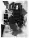 Fig. 02 - Grapevine named ‘IFG Thirty’