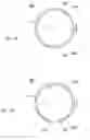 Fig. 02 - Feeding apparatus and method for operating a feeding apparatus