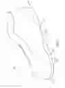 Fig. 02 - Sole system having movable protruding members