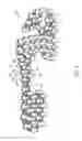 Fig. 06 - Sole system having movable protruding members
