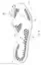 Fig. 16 - Sole system having movable protruding members
