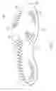 Fig. 17 - Sole system having movable protruding members