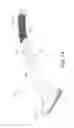 Fig. 02 - BACK-INVIGORATOR BRUSH, ROLLER AND LOOFA