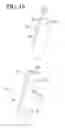 Fig. 20 - Cooking apparatus
