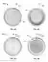 Fig. 04 - SMART CHARGER PLATE