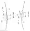 Fig. 32 - DEVICES AND METHODS FOR TREATING ACUTE KIDNEY INJURY