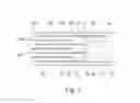 Fig. 07 - A CONCERTINAED EXPANDABLE TISSUE EXPANDER