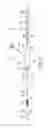Fig. 02 - Introducer device for medical procedures