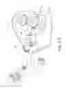 Fig. 41 - Eye wash system for emergency usage