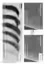 Fig. 02 - GRAPHENE-BASED MULTIFUNCTIONAL COSMETIC COMPOSITIONS