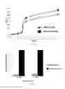 Fig. 08 - COMPOSITIONS FOR MANAGING PLAQUE FORMATION