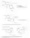 Fig. 07 - Solid Nanoparticle Formulation of Water Insoluble Pharmaceutical Substances with Reduced Ostwald Ripening