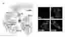 Fig. 01 - Calcium sensing receptors, ligands, compositions, and methods of use
