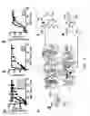 Fig. 04 - Calcium sensing receptors, ligands, compositions, and methods of use