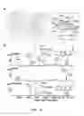 Fig. 06 - Calcium sensing receptors, ligands, compositions, and methods of use