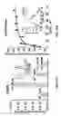 Fig. 32 - Calcium sensing receptors, ligands, compositions, and methods of use