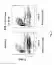 Fig. 08 - Compounds for treatment of hypoproliferative disorders