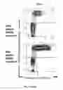 Fig. 22 - Compounds for treatment of hypoproliferative disorders