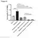 Fig. 09 - Methods and Compositions for Treating Pruritus, Xerosis, and Associated Disease Using CCR-Inhibitors