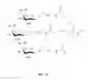 Fig. 05 - Nucleic acid molecule for reduction of PAPD5 and PAPD7 mRNA for treating hepatitis B infection