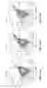 Fig. 07 - Intracellular delivery of biomolecules to induce tolerance