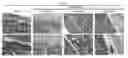 Fig. 01 - Method for remolding bone marrow microenvironment